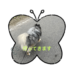 sakura_20231021150119