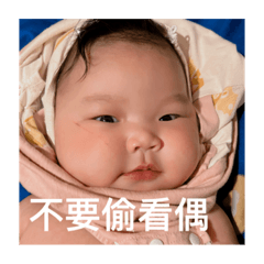 豬家小妹2