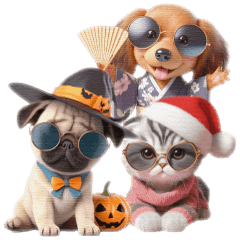 cool cats and dogs Year -end set 2
