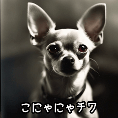 Realistic Dog Stickers – LINE stickers | LINE STORE