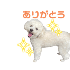 Natsumi_20231021223735