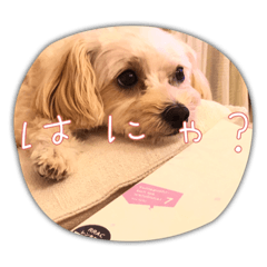 sunny_20231021192321