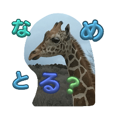 310_20231021162023