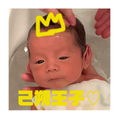 sakura_20231022002126