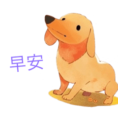 臘腸狗咪妮