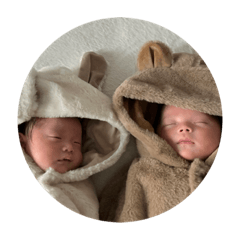 sakura_20231022101043