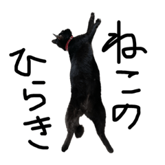 BLACK CAT STAMP -Everyday-
