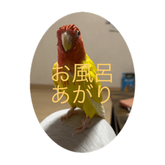 tori_20231022123429
