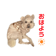 Mitsuki_20231022131641