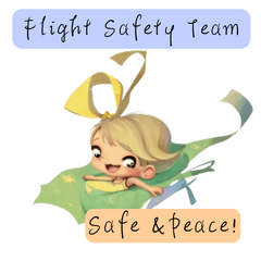 Fly Sky Team-Safe