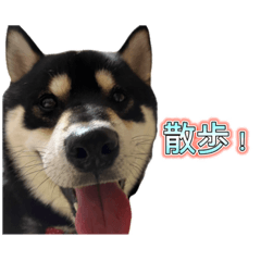 RYUKI_20231021184435