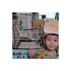 nao_20231021193303