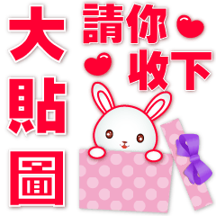 Useful phrases-cute white rabbit