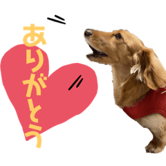Tanaka_20231022155552