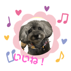 SAKURA_20231022164912