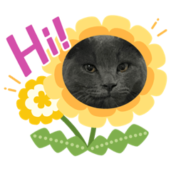 Moo_20231022232330