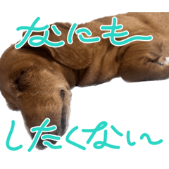 Konatsu_20231022213211