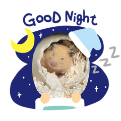 hamchoco_20231023124128