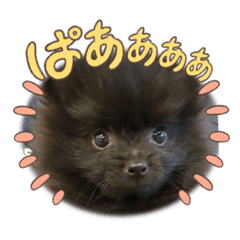 yuka_20231023023812