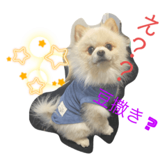 kizuna.y.T_20231023000935