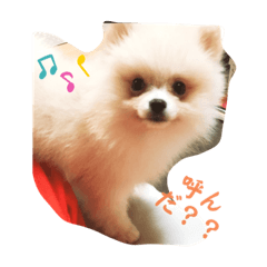 kizuna.y.T_20231023004048