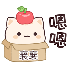 小星貓姓名貼2_襄襄專用