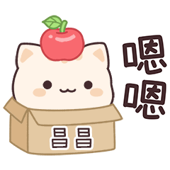 小星貓姓名貼2_昌昌專用 – LINE貼圖 | LINE STORE
