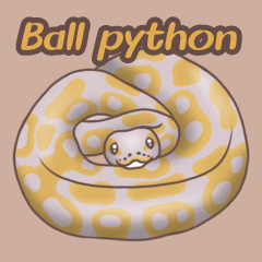 Ball python CG
