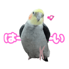 tsubaki_20231023151243