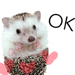 Araw-araw na Cute Healing Hedgehog-16