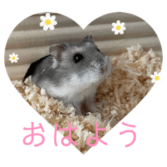 moo_20231024084359