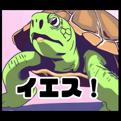 Friends with Turtles LINE Stickers