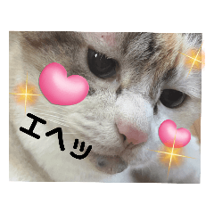 momo.baasan