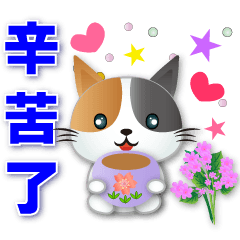 Cute Calico cat-practical greeting *.*