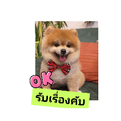 jubjang_20231024183109