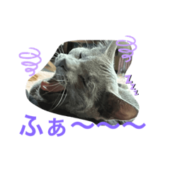 aochan_20231024171425