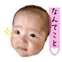 tanuki_20231024231357