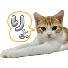 SAKURA_20231024232854