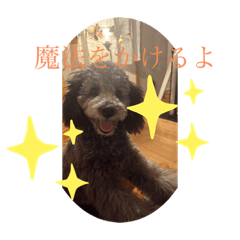 tycho-20231025003216