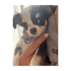 Sami-_20231024213543