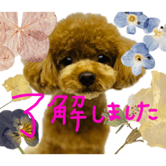 kana_20231024173654