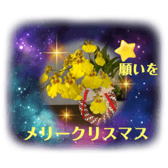 kazuookawa_20231025104600