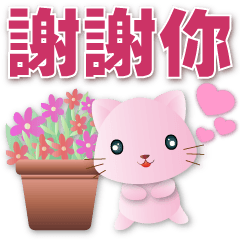 Daily phrases-cute pink cats