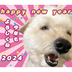 Kuu New Year & Winter Greetings Sticker