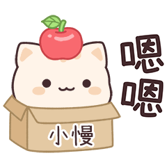 小星貓姓名貼2_小慢專用