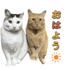 nozomi_20231024210927