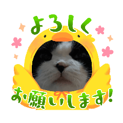 Ryobusu_20231024195535