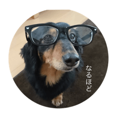 hana_20231024211347