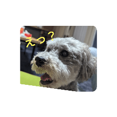 tomoyo_20231024192135