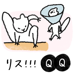 QXQ Simple white squirrel sticker